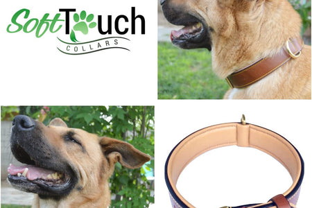 Padded Leather Dog Collar, Large Brown, Real Genuine Leather, 24" Long X 1.5 Wide, Fits Neck Size 18" to 21" Inches